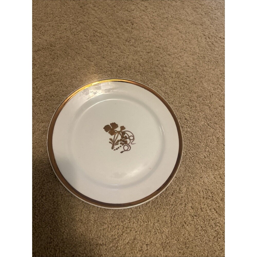 Scarce Ironstone Dinner Plate Coffeeberry CLEMENTSON BROS England circa 1900's